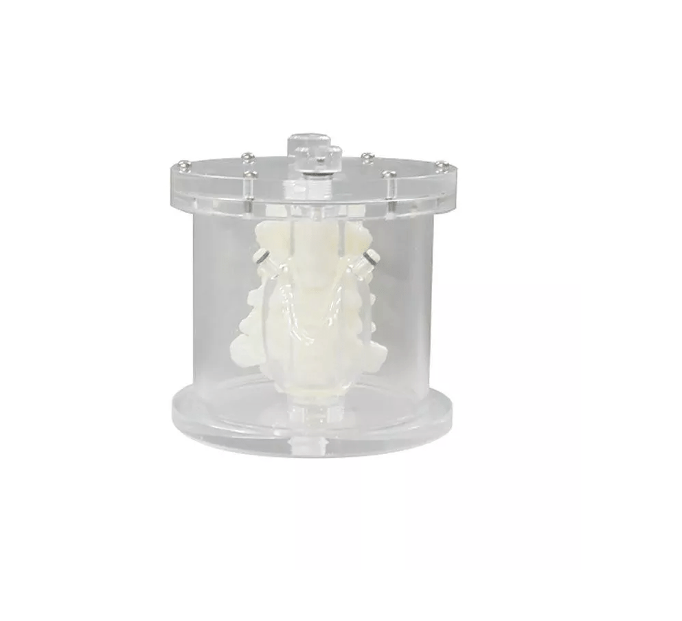 Schilddrüsenphantom UN - Erler - Zimmer